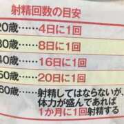 ヒメ日記 2025/04/19 13:51 投稿 みわ セレブクエスト-koshigaya-