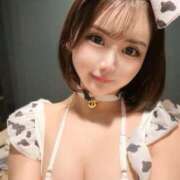 ヒメ日記 2025/03/10 12:23 投稿 ほのか Versailles