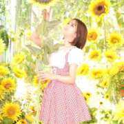 ヒメ日記 2025/08/11 12:01 投稿 ほのか Versailles