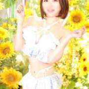 ヒメ日記 2025/08/11 17:01 投稿 ほのか Versailles