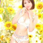 ヒメ日記 2025/08/26 10:15 投稿 ほのか Versailles