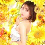 ヒメ日記 2025/08/29 07:11 投稿 ほのか Versailles