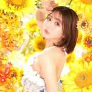 ヒメ日記 2025/08/31 07:11 投稿 ほのか Versailles