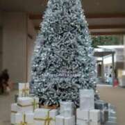 ヒメ日記 2024/12/24 08:36 投稿 すずめ【大人女子】 Select(セレクト)