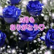 ヒメ日記 2025/02/28 23:30 投稿 えりな モアグループ神栖人妻花壇