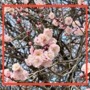 ヒメ日記 2025/03/18 14:00 投稿 えりな モアグループ神栖人妻花壇