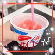 ヒメ日記 2025/07/28 12:20 投稿 えりな モアグループ神栖人妻花壇