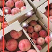 ヒメ日記 2025/08/04 15:32 投稿 えりな モアグループ神栖人妻花壇