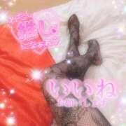 ヒメ日記 2025/11/18 23:30 投稿 えりな モアグループ神栖人妻花壇