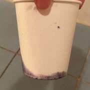 ヒメ日記 2025/12/04 23:00 投稿 るか フォーシーズン