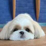 ヒメ日記 2025/12/05 23:18 投稿 るか フォーシーズン