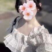 ヒメ日記 2025/06/29 08:03 投稿 梨華（りか） NOA（ノア）