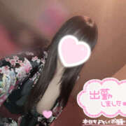 ヒメ日記 2025/02/05 18:53 投稿 ももあ 夜這い本舗