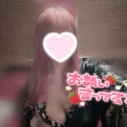 ヒメ日記 2025/09/09 20:42 投稿 ももあ 夜這い本舗