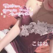 ヒメ日記 2025/02/10 11:30 投稿 こはね（恋羽） マリンマリン