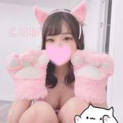 ヒメ日記 2025/04/03 17:04 投稿 こはね（恋羽） マリンマリン