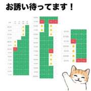 ヒメ日記 2025/08/28 08:19 投稿 こはね（恋羽） マリンマリン