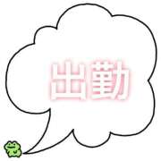 ヒメ日記 2025/10/14 07:44 投稿 こはね（恋羽） マリンマリン