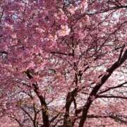 ヒメ日記 2026/02/25 15:21 投稿 らん JDのドキドキ初挑戦♡ Parfaite Luna☆(パルフェットルナ)