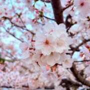 ヒメ日記 2026/04/01 16:51 投稿 らん JDのドキドキ初挑戦♡ Parfaite Luna☆(パルフェットルナ)