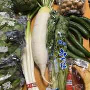 ヒメ日記 2025/04/04 09:24 投稿 あおい 人妻花かんざし