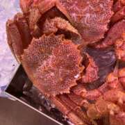 ヒメ日記 2025/06/17 10:19 投稿 あおい 人妻花かんざし