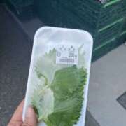 ヒメ日記 2025/08/16 09:23 投稿 あおい 人妻花かんざし