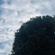 ヒメ日記 2025/10/24 09:06 投稿 あおい 人妻花かんざし