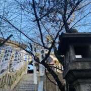 ヒメ日記 2026/01/14 09:09 投稿 あおい 人妻花かんざし