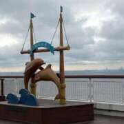 ヒメ日記 2026/03/10 16:53 投稿 もも 埼玉西川口ショートケーキ（シンデレラグループ）