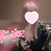 ヒメ日記 2025/05/13 14:52 投稿 ももあ メイドde本舗