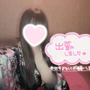 ヒメ日記 2025/08/29 19:02 投稿 ももあ メイドde本舗