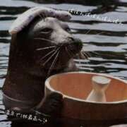 ヒメ日記 2024/12/21 10:20 投稿 蝶野　すみれ 昼下がりの情事