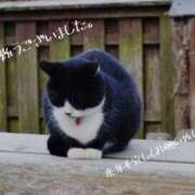 ヒメ日記 2024/12/30 10:10 投稿 蝶野　すみれ 昼下がりの情事