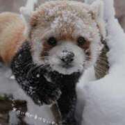 ヒメ日記 2025/02/07 10:50 投稿 蝶野　すみれ 昼下がりの情事