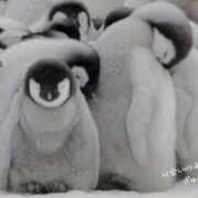 ヒメ日記 2025/02/12 20:40 投稿 蝶野　すみれ 昼下がりの情事