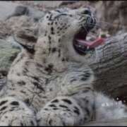 ヒメ日記 2025/02/18 10:20 投稿 蝶野　すみれ 昼下がりの情事