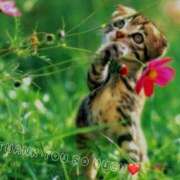 ヒメ日記 2025/02/27 10:10 投稿 蝶野　すみれ 昼下がりの情事