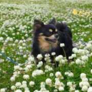 ヒメ日記 2025/03/13 10:20 投稿 蝶野　すみれ 昼下がりの情事