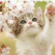 ヒメ日記 2025/04/06 10:20 投稿 蝶野　すみれ 昼下がりの情事