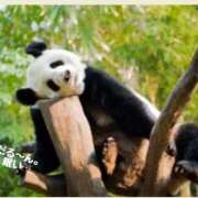 ヒメ日記 2025/04/18 10:40 投稿 蝶野　すみれ 昼下がりの情事