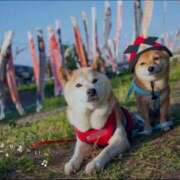 ヒメ日記 2025/05/05 10:40 投稿 蝶野　すみれ 昼下がりの情事