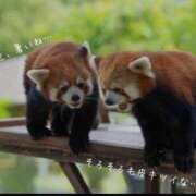 ヒメ日記 2025/05/15 10:57 投稿 蝶野　すみれ 昼下がりの情事