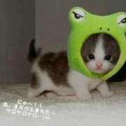 ヒメ日記 2025/05/17 10:40 投稿 蝶野　すみれ 昼下がりの情事