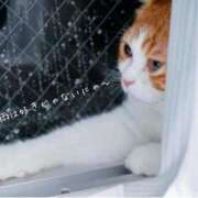 ヒメ日記 2025/06/12 11:10 投稿 蝶野　すみれ 昼下がりの情事