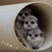 ヒメ日記 2025/06/14 10:50 投稿 蝶野　すみれ 昼下がりの情事