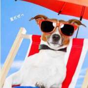 ヒメ日記 2025/06/19 10:40 投稿 蝶野　すみれ 昼下がりの情事