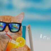 ヒメ日記 2025/07/01 10:40 投稿 蝶野　すみれ 昼下がりの情事