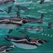 ヒメ日記 2025/07/05 10:40 投稿 蝶野　すみれ 昼下がりの情事