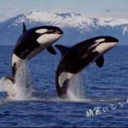 ヒメ日記 2025/07/10 10:40 投稿 蝶野　すみれ 昼下がりの情事